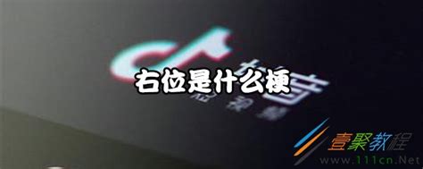 右位 意思|右位是什么意思什么梗 网络热梗右位有什么含义